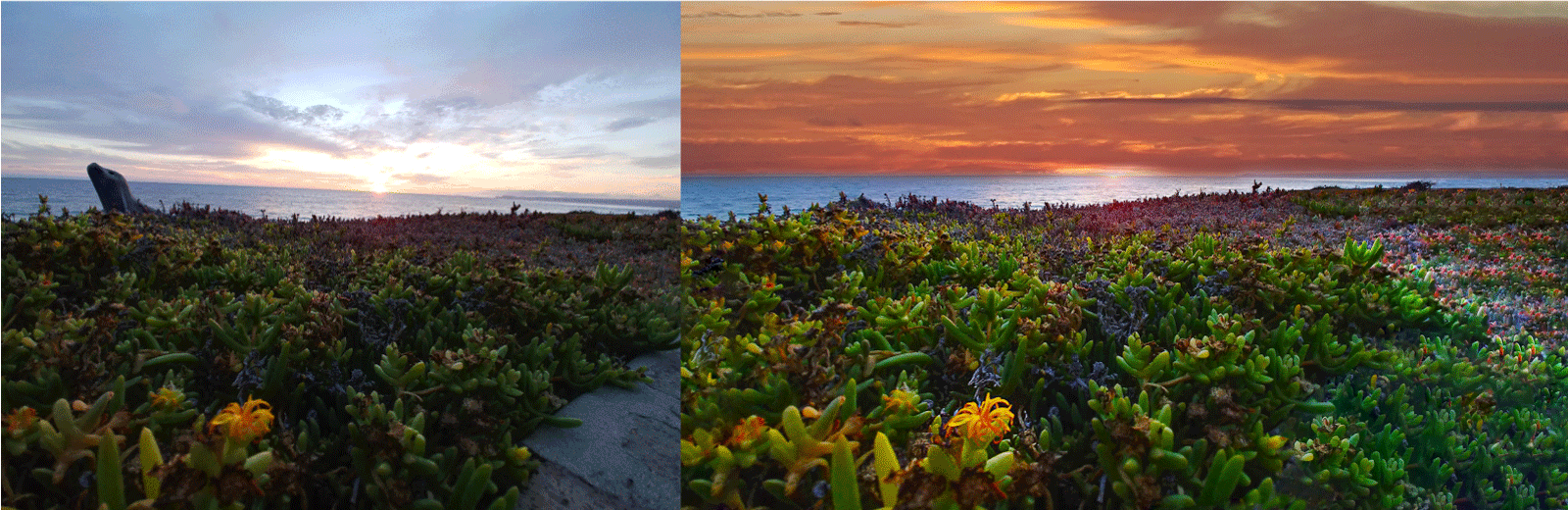 sunset at the beach